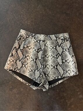 BRAND NEW Line & Dot Python Short
